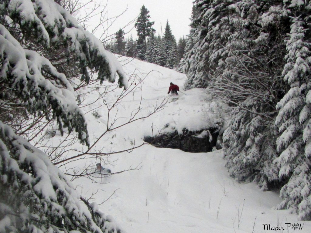 Saut de roche dans la Pow Snowboard