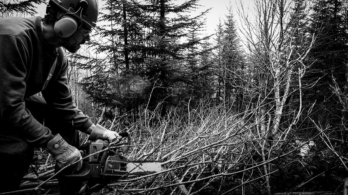 Travail dans le sous-bois