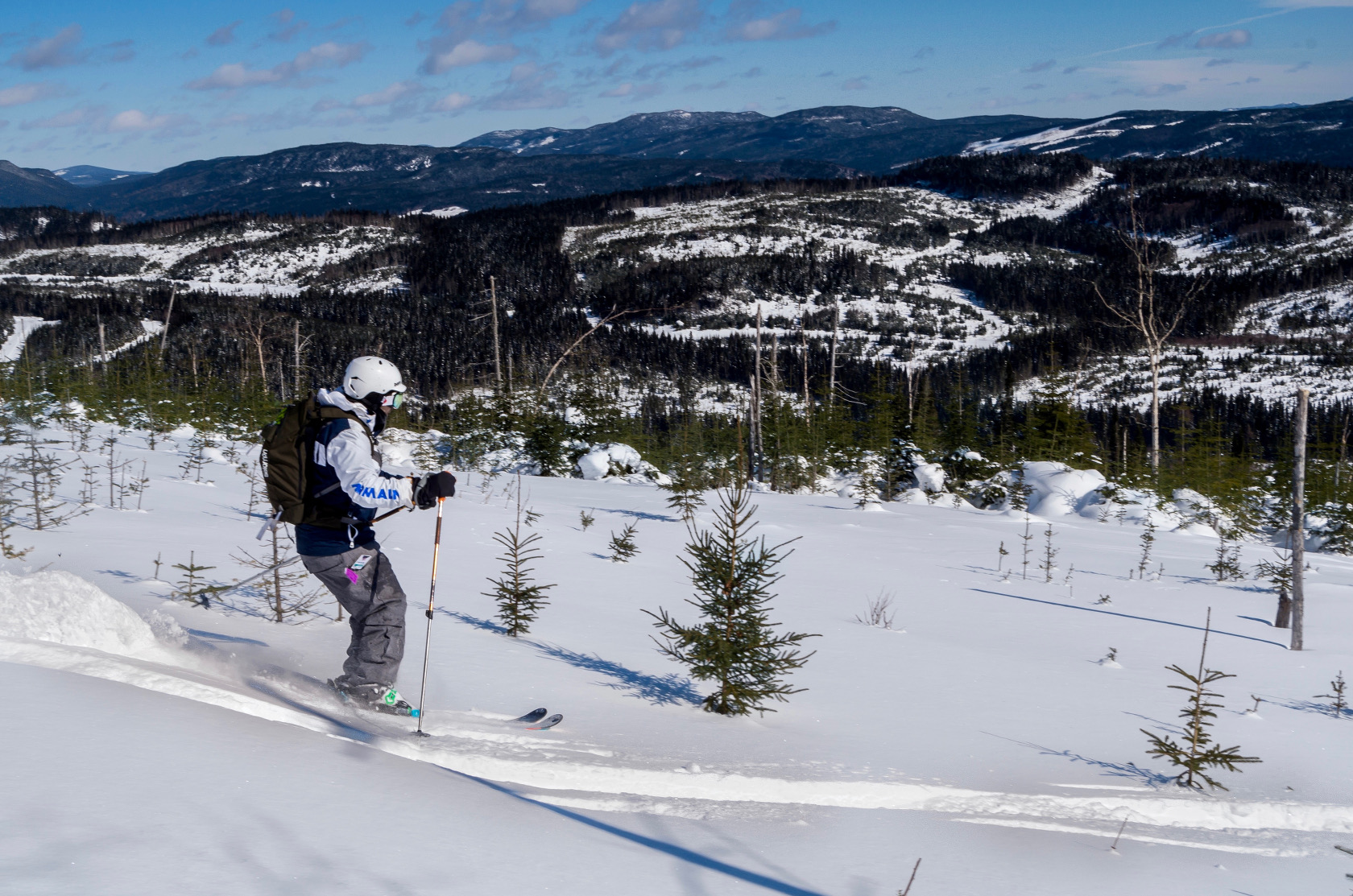 Le ski dans les coupes forestières