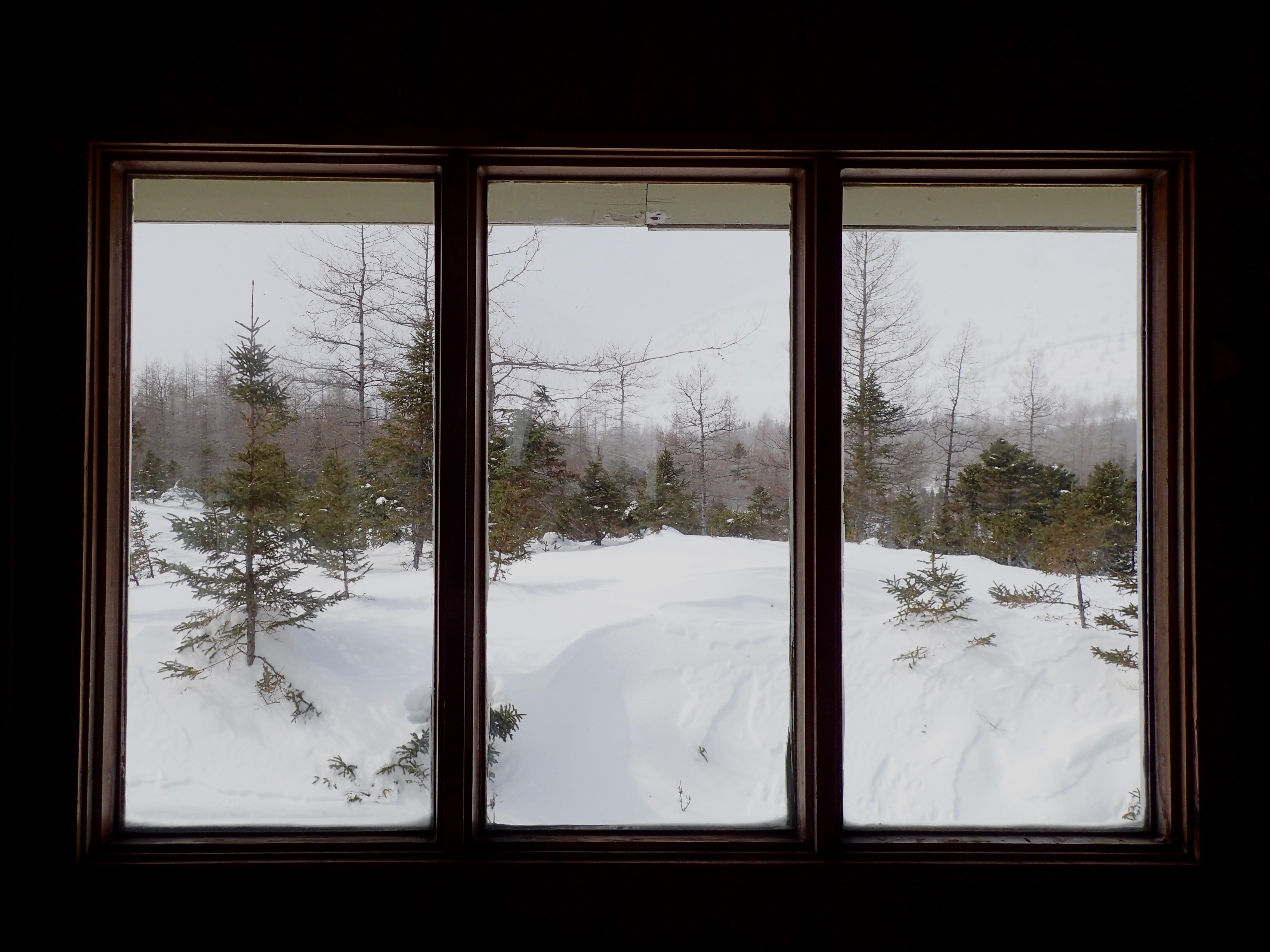 Au travers la fenêtre la neige