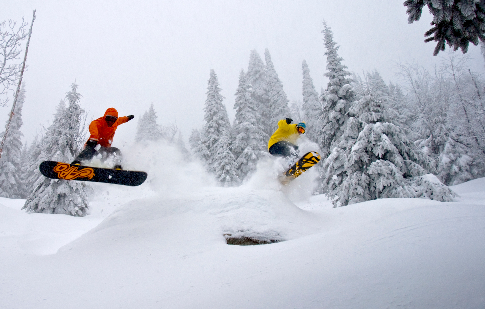 Deux surfeurs des neiges dans le terrain du Massif de Charlevoix