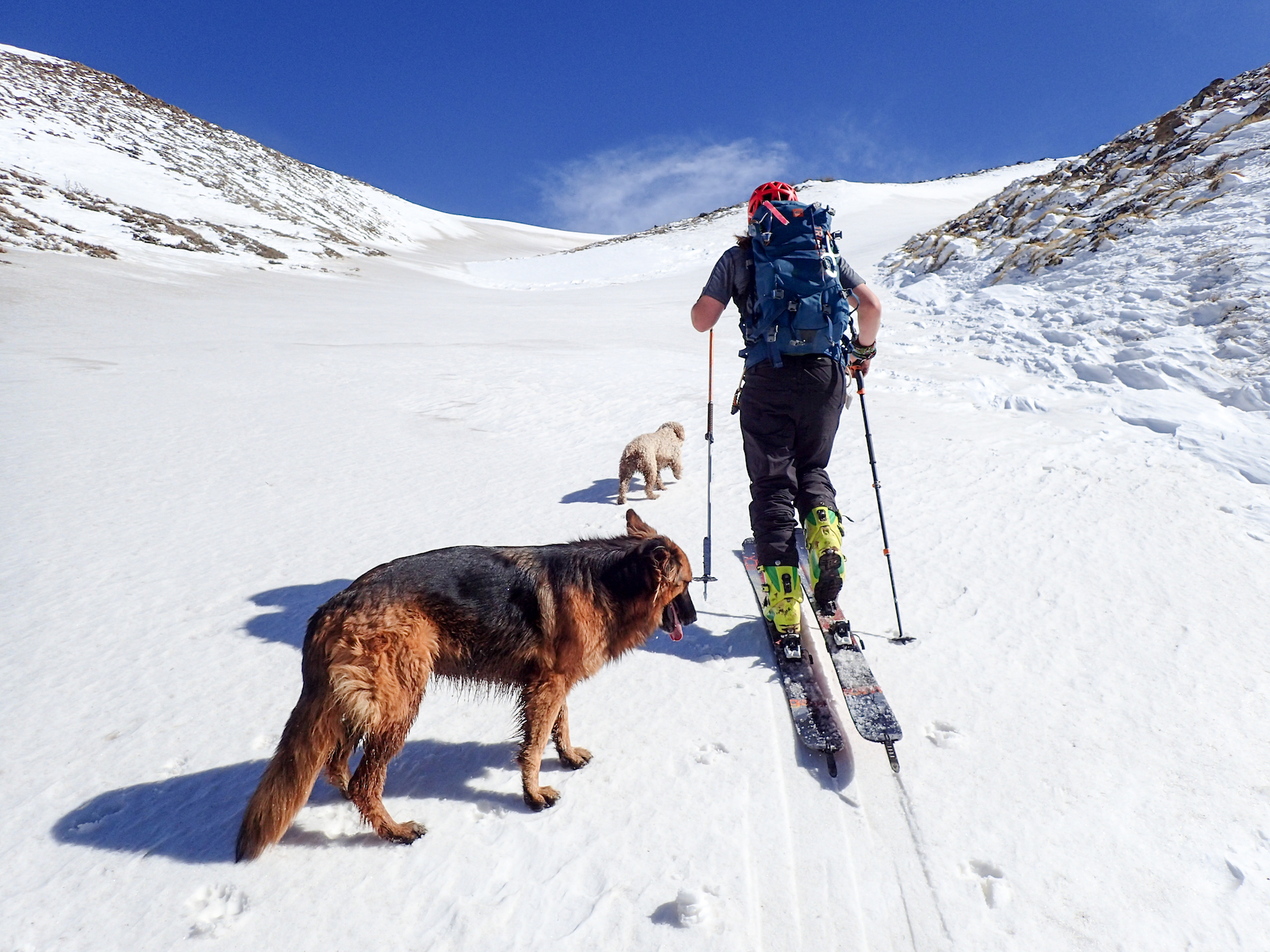 Petite ligne de ski en bonne compagnie