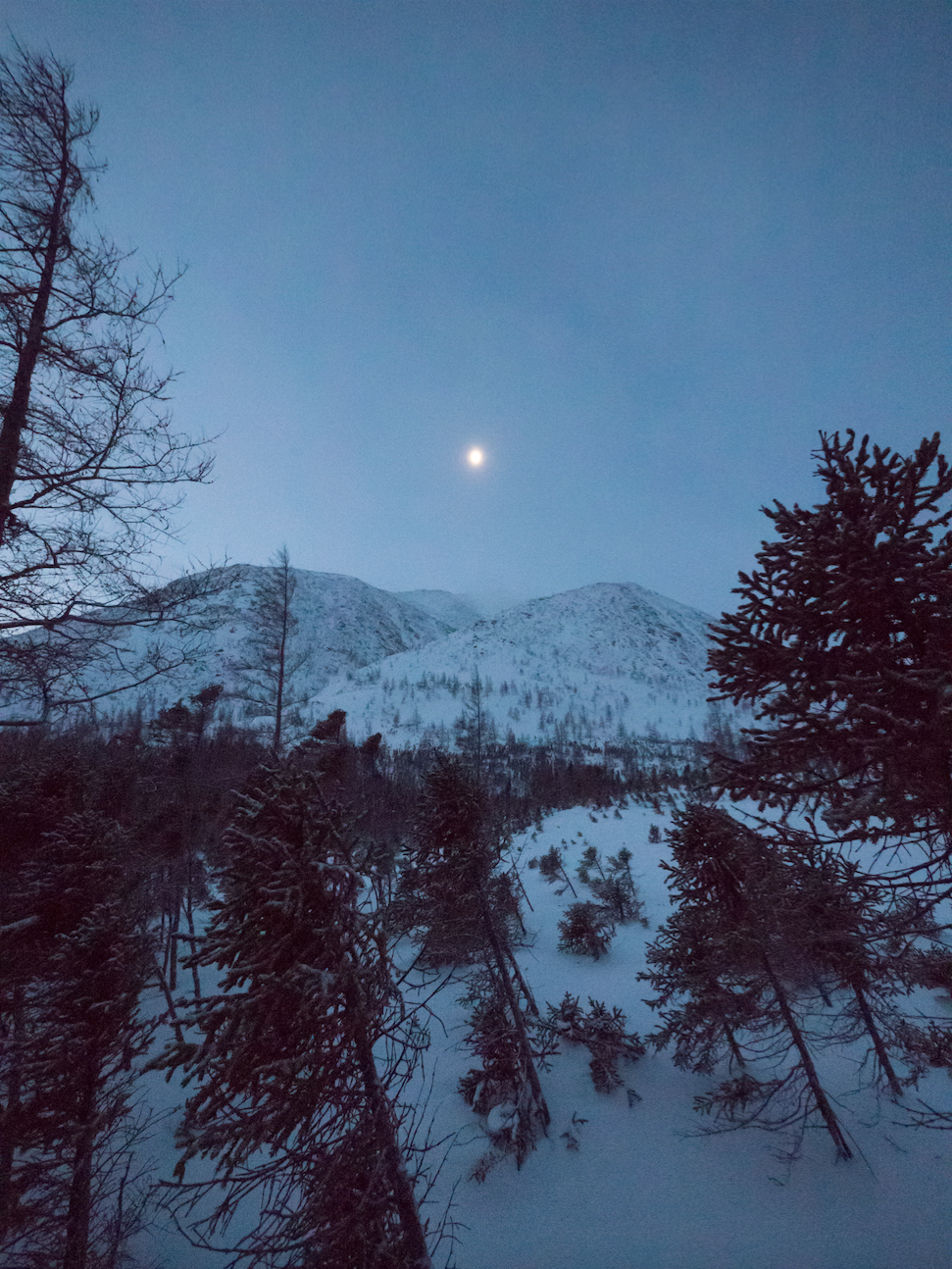 Albert sous la lune