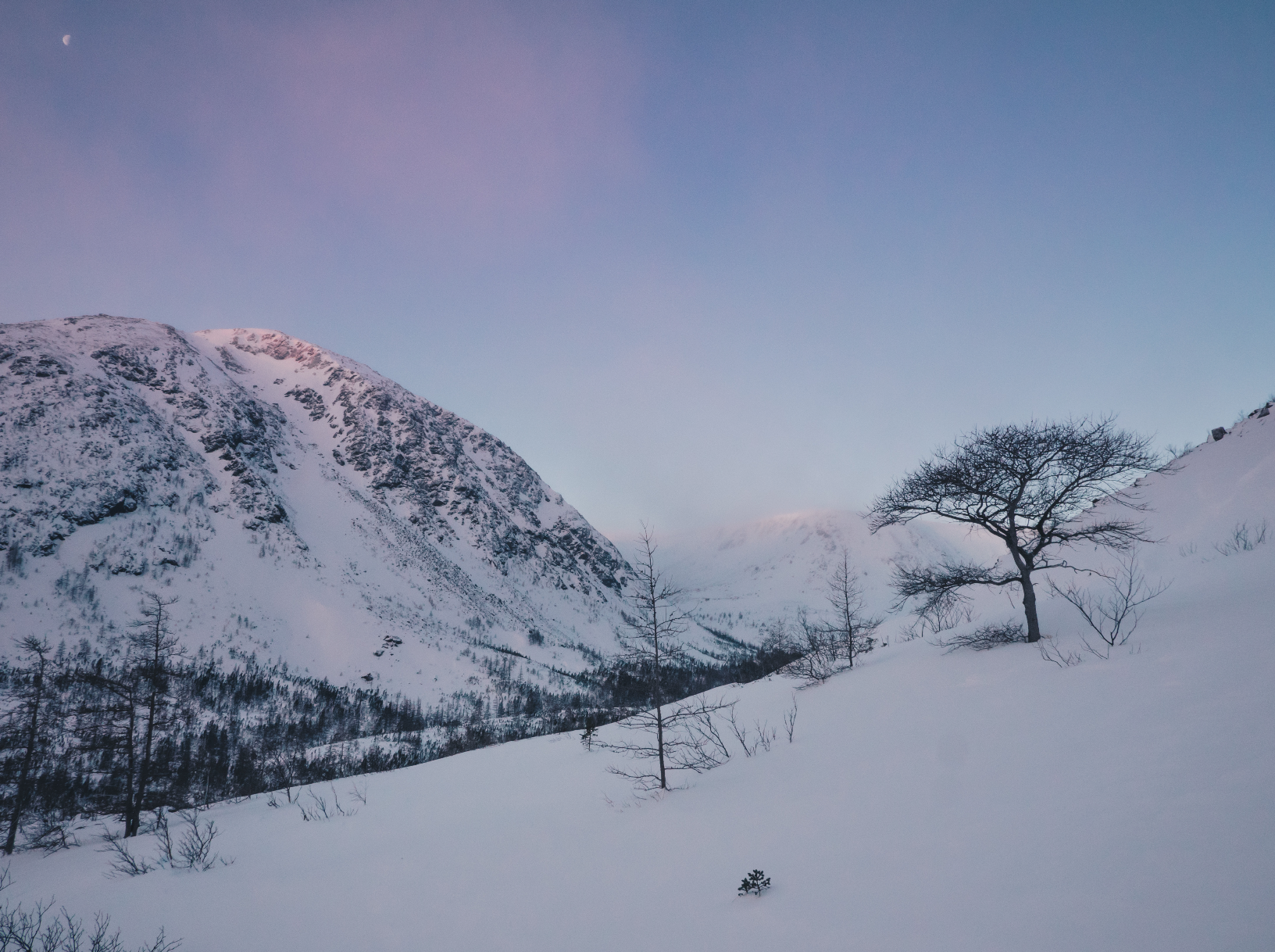 Un mélange de savane et de Grand Nord