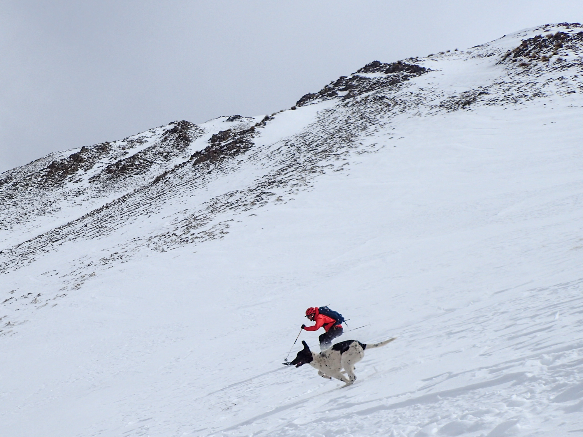 Le chien ski aussi vite que nous
