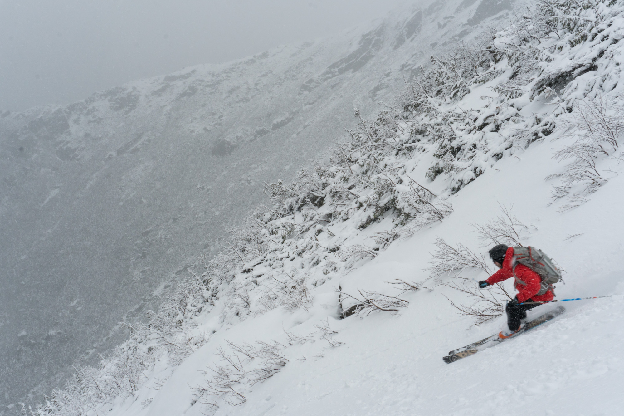 Great Gully des rois