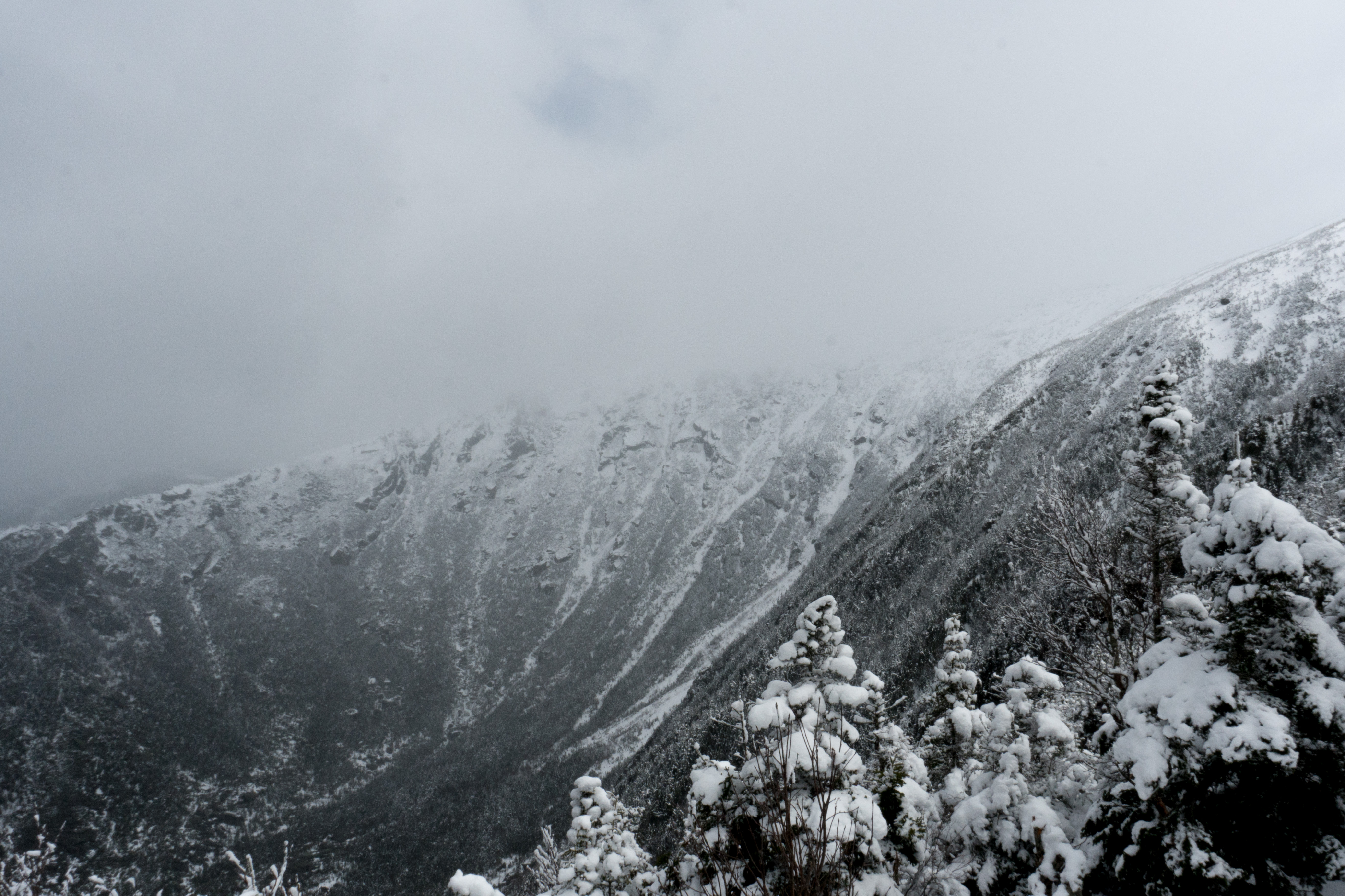 Le majestueux King Ravine