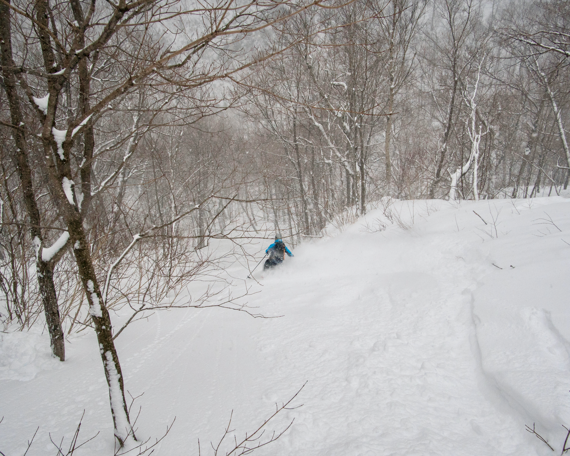 Petit guide du ski hors-piste au Green Mountain State