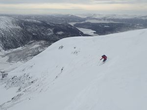 Terre-Neuve : bienvenue en terrain hostile