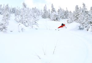 La Gaspésie pour Noël?