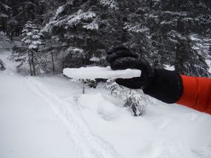 Skier croûte que croûte