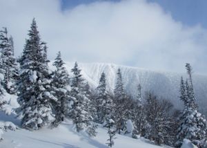 Cours avancé de sécurité en avalanche (CSA 2): Ça vaut la peine?