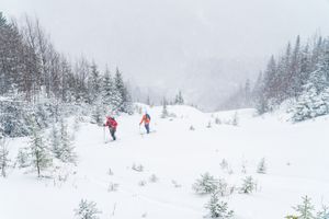 Fin de semaine de guerriers dans la réserve faunique des Laurentides