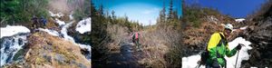 La Gaspésie : chasse à la dernière neige, non sans peine