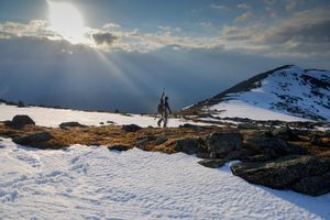 Mont Washington au printemps : couloirs, ravins et jardins alpins au programme