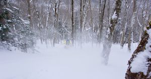 La journée de ski parfaite : réflexions