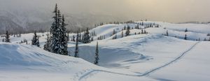 Perspectives et photos hivernales: regarder autrement pour de meilleures images