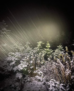 Mise-à-jour sur la chute de neige des prochaines heures