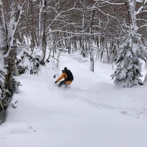 Bulletin météo du 25 novembre: Une tempête à l'horizon?