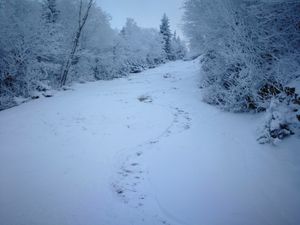 Bulletin météo du 28 décembre: le retour du ski de gazon
