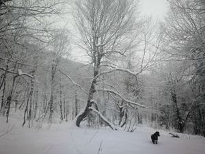 Bulletin météo du 15 janvier: la fin de la marée basse?