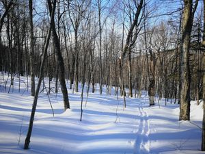 Bulletin météo du 12 mars: le retour du béton