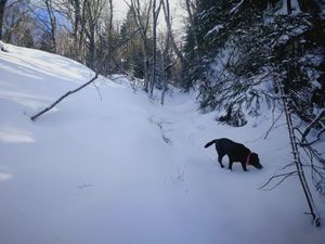 Bulletin météo du 31 mars: la dernière tempête de la saison?