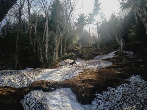 Bulletin météo du 14 avril: d'une saison à l'autre.