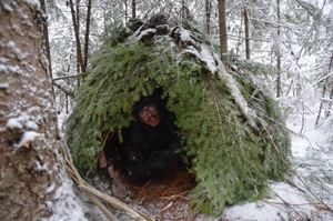 Que feriez-vous si vous deviez survivre une nuit en forêt l’hiver ?