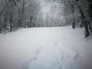 Bulletin météo du 25 novembre: beaucoup de neige en vue.