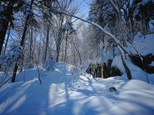 Bulletin météo du 13 janvier: de zéro à héros en une semaine