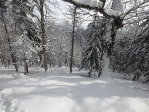 Bulletin météo du 22 février: l'action se poursuit