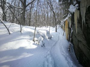 Bulletin météo du 10 mars: la marée remonte