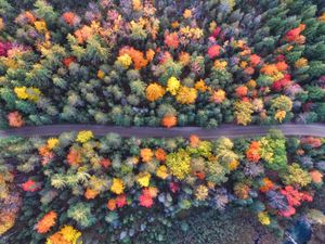 Les Estski de nouvelles du 5 octobre