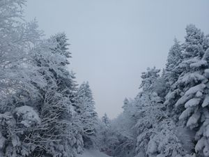 Bulletin météo du 24 novembre: l'action continue