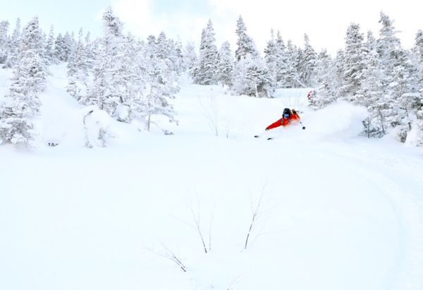 La Gaspésie pour Noël?