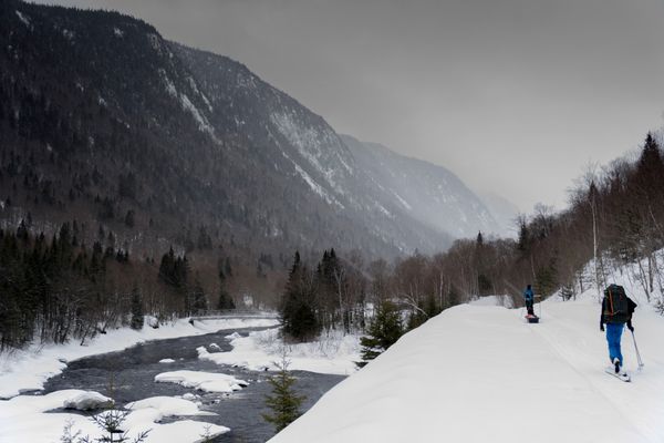 Parmi les loups, au cœur de la Jacques-Cartier