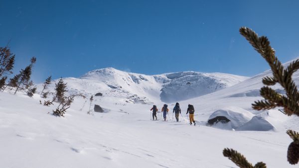 Expédition Akami-Uapishkᵁ : premières descentes à ski aux monts Mealy au Labrador