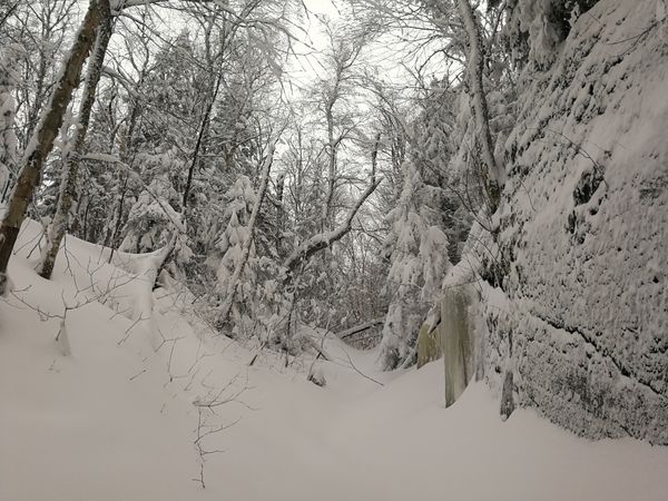 Bulletin météo du 3 février: le calme avant la tempête