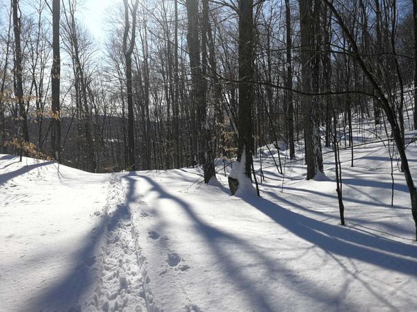 Bulletin météo du 16 février: c'est le temps d'en profiter