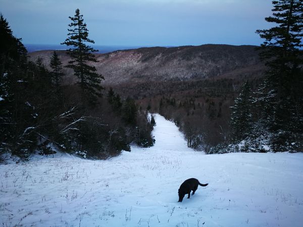 Bulletin météo du 20 novembre: une autre chute de neige!