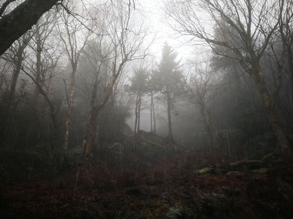 Bulletin météo du 2 décembre: et on recommence!