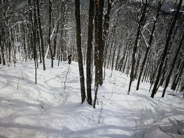 Bulletin météo du 5 février: plus de neige avant l'arrivée du froid?