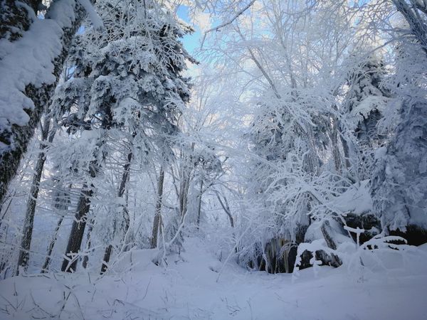 Bulletin météo du 13 février: déjà la mi-saison!