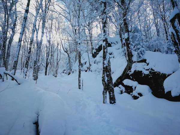 Bulletin météo du 26 février: Les déboires des modèles se poursuivent