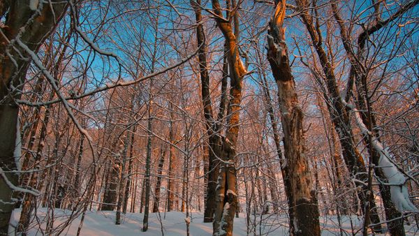 Nouvel article: 6h - 10h Pow Epic dans les Laurentides, ou un avant-travail typique de pandémie