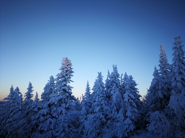 Bulletin météo du 15 décembre: Noël blanc en vue !