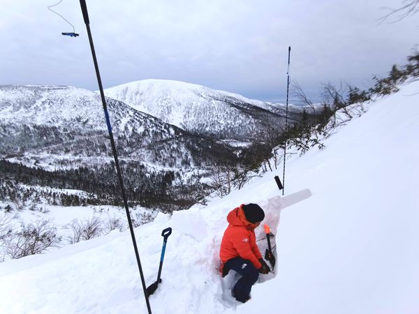 Où doit-on évaluer le manteau neigeux ?