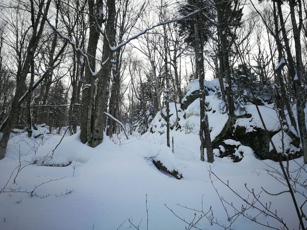 Bulletin météo du 10 février: cela sent le printemps !