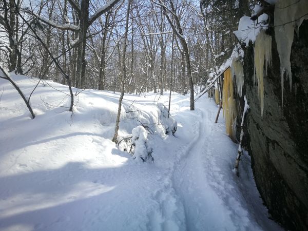 Bulletin météo du 10 mars: la marée remonte